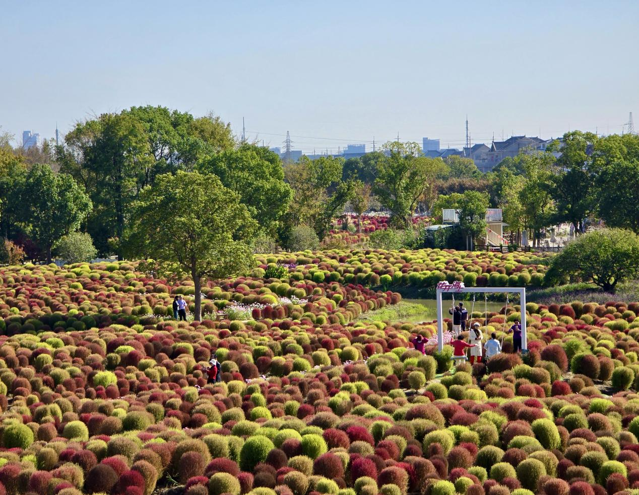 图片2.png 图片2.png