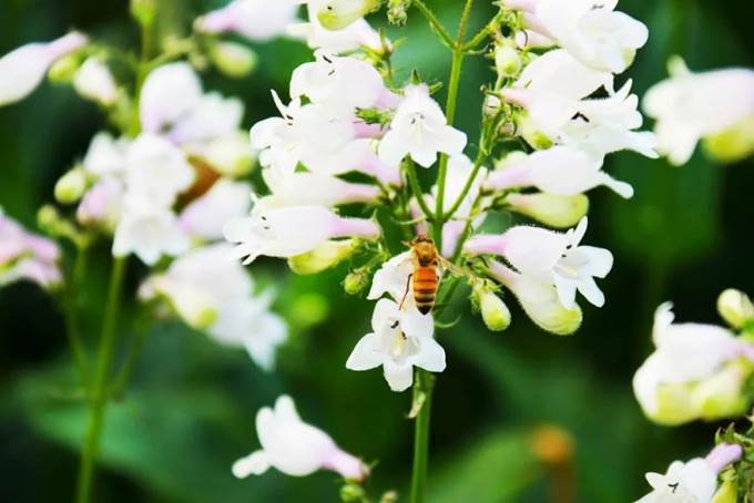 说明:https://mmbiz.qpic.cn/mmbiz_jpg/Q7DrqSNY1qeTyQ4gdDkpTgHEkoFxz5IoTAibvqzzfpgicTTTSGLCjQXV4ibriauAtoRmjW4JrYZyz3GbMq9K9PIR7Q/640?wx_fmt=jpeg