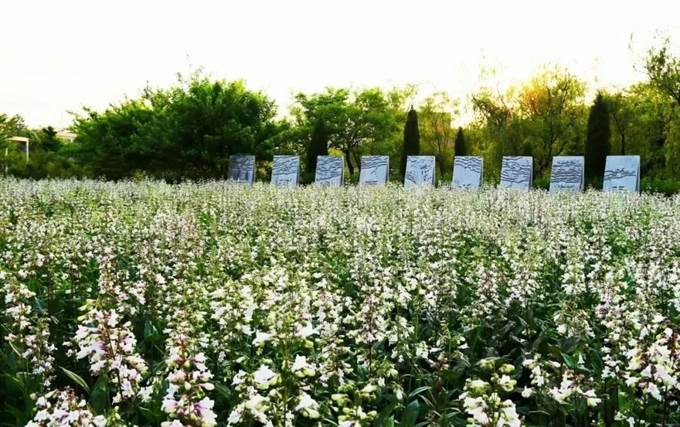 说明:https://mmbiz.qpic.cn/mmbiz_jpg/Q7DrqSNY1qeTyQ4gdDkpTgHEkoFxz5IojwwIfNm5K3ibzys43TnnakvqMytvde2tqorOnDvFPr9uI2wWWibRotnA/640?wx_fmt=jpeg