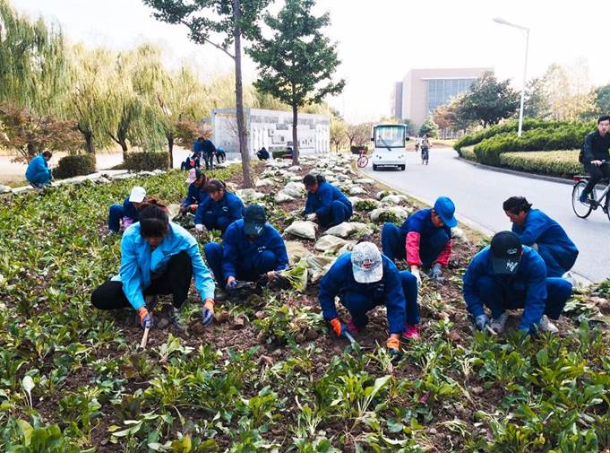 说明:https://mmbiz.qpic.cn/mmbiz_png/Q7DrqSNY1qeTyQ4gdDkpTgHEkoFxz5IoicGIv5N899MwJqqxs3FOpbicKhHKsnU4M6JYiaWAb6C28ajc2kGSPB7Jg/640?wx_fmt=png