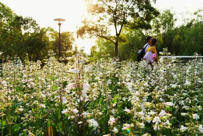 说明:https://mmbiz.qpic.cn/mmbiz_jpg/Q7DrqSNY1qdAYQqtvicCkVGnLd3f38oQfNNzeciaMDibcj8g7poUm4Vu479sFrnibibW3kAJiaKWIXcMco0MekvG7F5Q/640?wx_fmt=jpeg