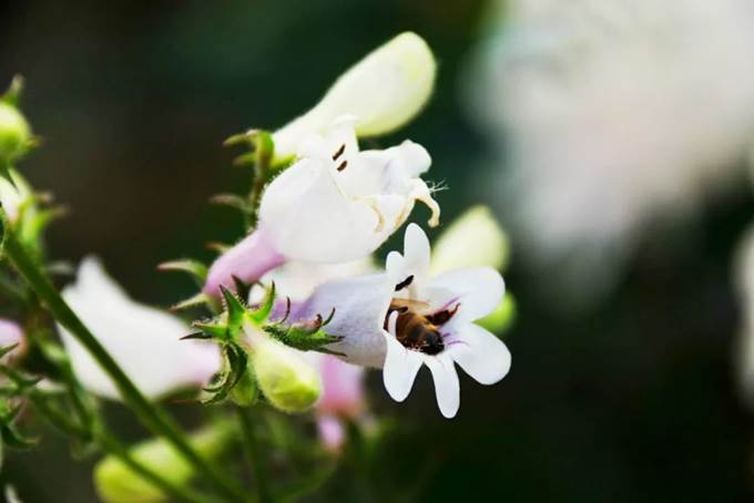 说明:https://mmbiz.qpic.cn/mmbiz_jpg/Q7DrqSNY1qeTyQ4gdDkpTgHEkoFxz5Ioic4KiaD2U5Phxcw2nicRk3FibLumdibj8RNsiaJOmzRQRs6AofAg1Wc4JHiaA/640?wx_fmt=jpeg