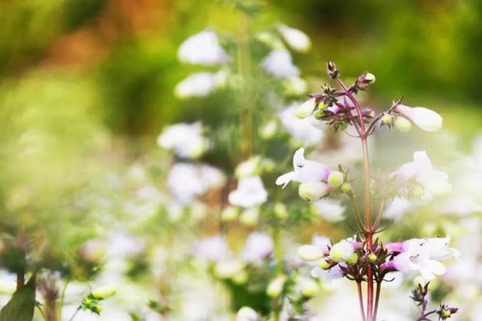 说明:https://mmbiz.qpic.cn/mmbiz_jpg/Q7DrqSNY1qeTyQ4gdDkpTgHEkoFxz5Io8utFdvfDOlSA65qBB1H3PzFicRDnKcbQgwOHWmHRamfttPxnYQ9mDQA/640?wx_fmt=jpeg