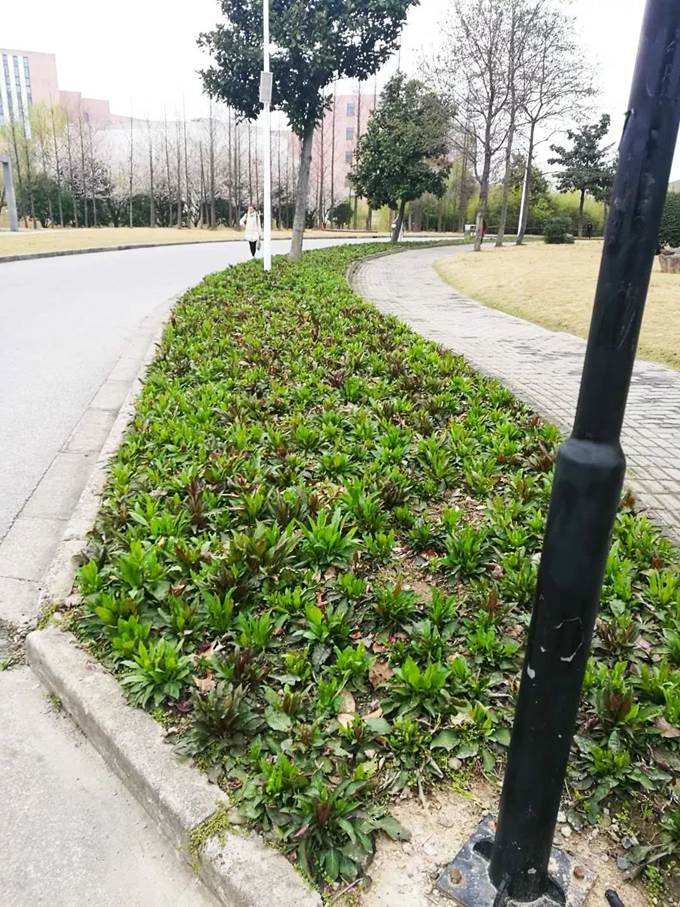 说明:https://mmbiz.qpic.cn/mmbiz_jpg/Q7DrqSNY1qeTyQ4gdDkpTgHEkoFxz5IosChlHN6KQYpzHV6iaNu9dib8DyLOrDylDdAEUR0tAKUCq8kSS5DLaEicg/640?wx_fmt=jpeg