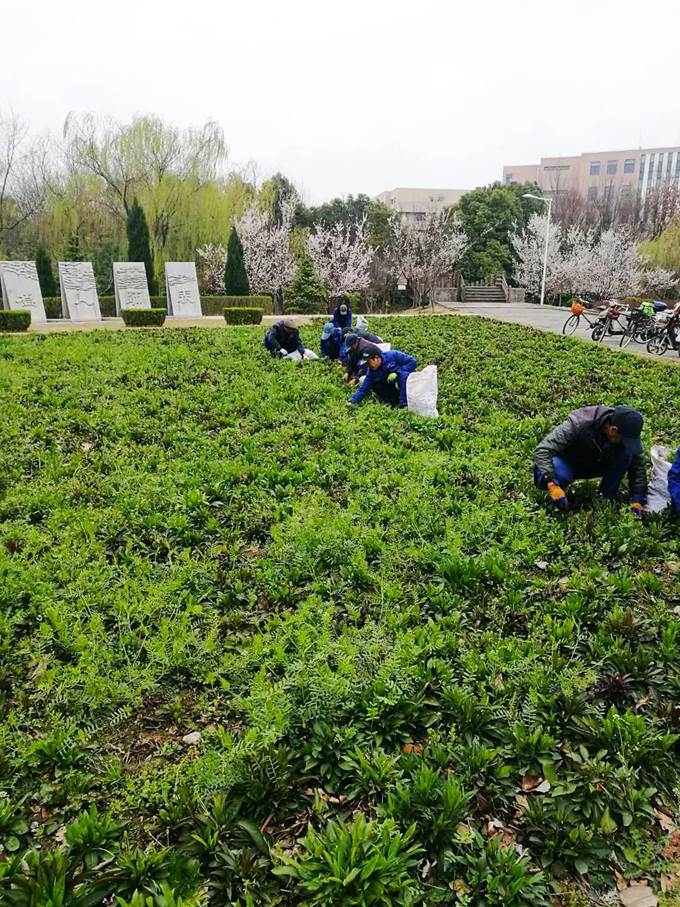 说明:https://mmbiz.qpic.cn/mmbiz_jpg/Q7DrqSNY1qeTyQ4gdDkpTgHEkoFxz5IoHqicpWibOJ5D4PkXaNnbFhtTHLkWicTGNxo32JZa4SP5IOyP4krhxQQ1g/640?wx_fmt=jpeg