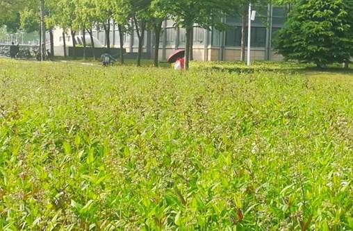 说明:https://mmbiz.qpic.cn/mmbiz_jpg/Q7DrqSNY1qeTyQ4gdDkpTgHEkoFxz5IoRBl6mGjXfbyEibs9pMibGYZiaGV8Ld8Lz6LLNjlVOKQmNS8XnvgsGQjiaQ/640?wx_fmt=jpeg