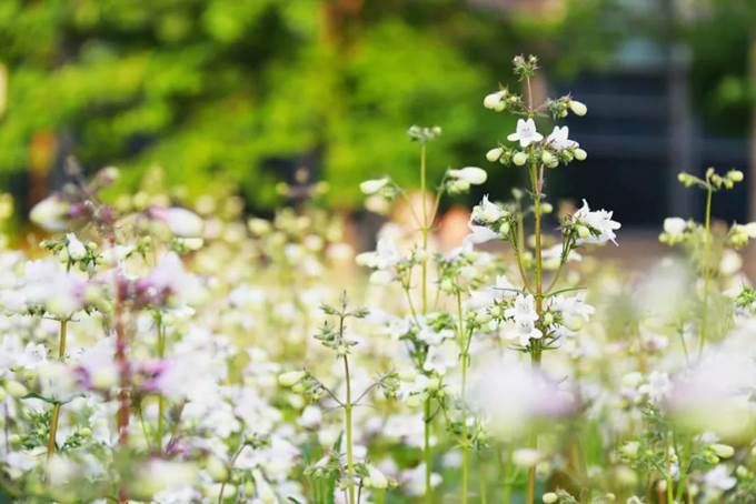 说明:https://mmbiz.qpic.cn/mmbiz_jpg/Q7DrqSNY1qdAYQqtvicCkVGnLd3f38oQfKhcldSydaPRicsLxic71wpkQPar7CbJAMI9ASGcReqTwmAlc7ibWuqN9A/640?wx_fmt=jpeg