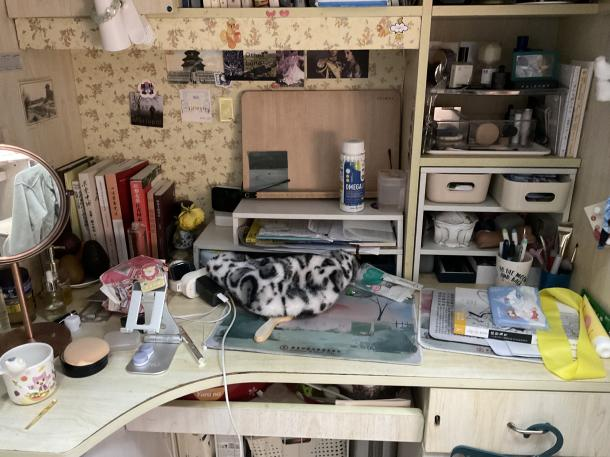 图片5.png 图片5.png